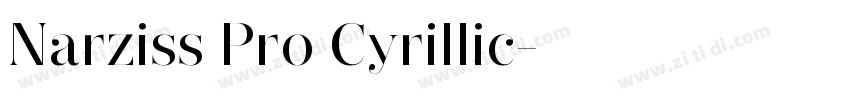 Narziss Pro Cyrillic字体转换